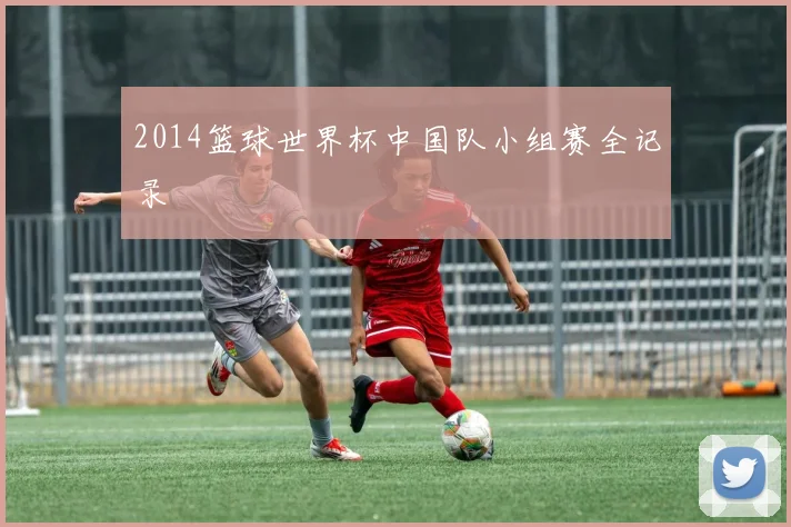 2014篮球世界杯中国队小组赛全记录