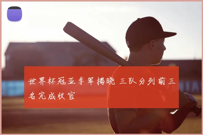 世界杯冠亚季军揭晓 三队分列前三名完成收官