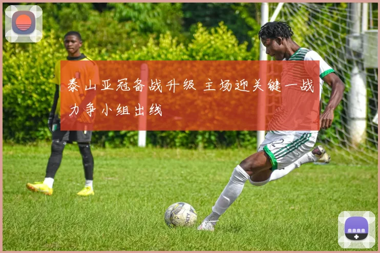 泰山亚冠备战升级 主场迎关键一战力争小组出线